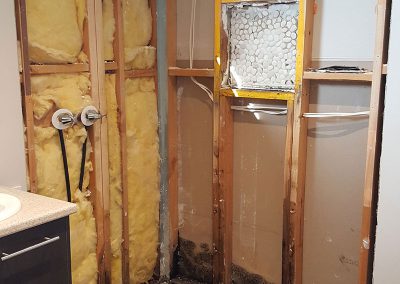 Full-Shower-Replacement-stage-2