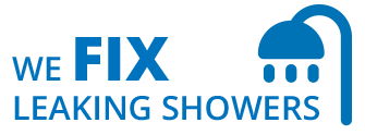 We Fix Leaking Showers